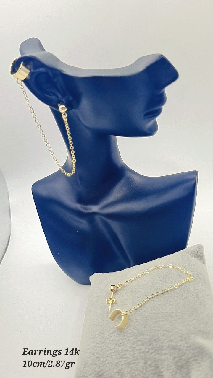 Chain Earrings10