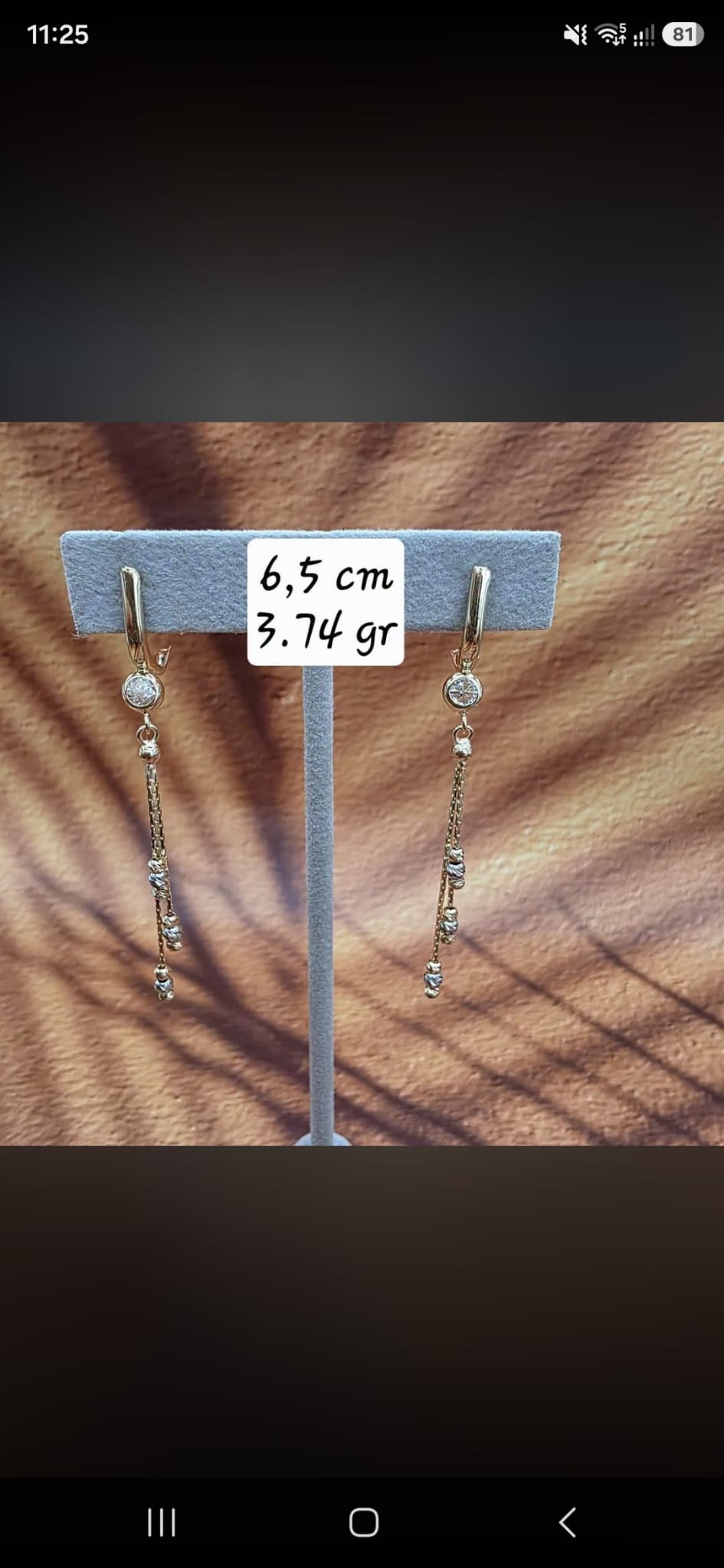 Glam Long Earrings