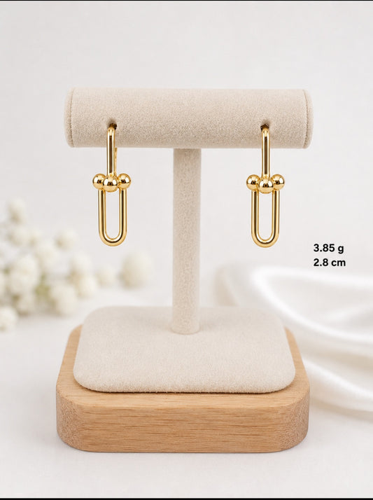 LongDrop Stylish Earrings